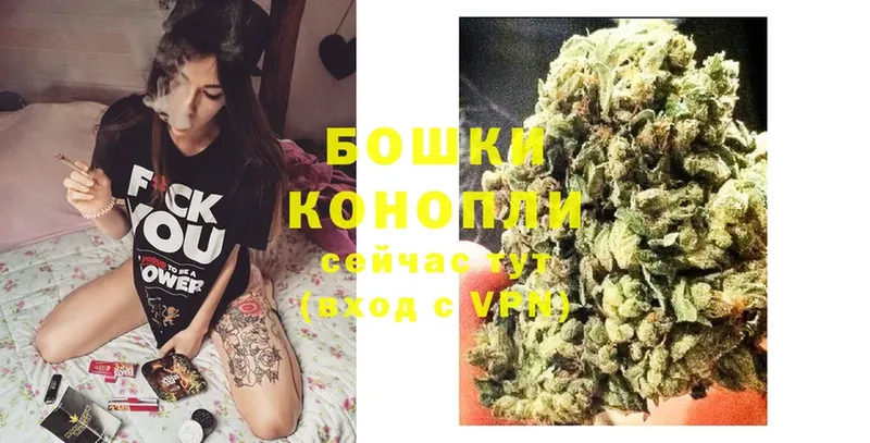 Марихуана OG Kush  хочу наркоту  Порхов 